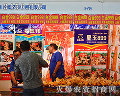 �Ĵ��r(n��ng)�I(y��)���ի@��