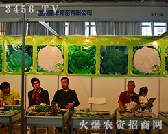 �㽭ʡ�������S�N���|(zh��)���Q��һ����