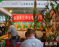 ������c�N�I(y��)�îa(ch��n)Ʒ����Ӳ������