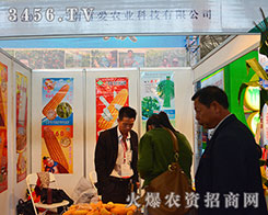 ����ʡ�N�I(y��)�f(xi��)��(hu��)�ٴ��A������