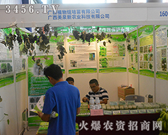 �V��ֲ��M�������޹�˾��(qi��ng)��(sh��)����2016���ό��r(n��ng)�Y��(hu��)���îa(ch��n)Ʒ����ţ��