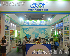 2016�Ϸ��r(n��ng)�Y���[������ɫ�з���ʩ�y������Ʒ¡�����࣡