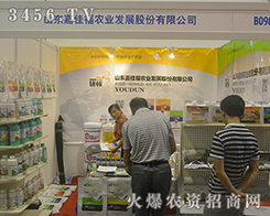 ɽ�|�μѸ��r(n��ng)�I(y��)�l(f��)չ�ɷ����޹�˾��������ָ���