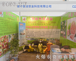 �ό������r(n��ng)�I(y��)2016�V���ό��r(n��ng)�Y��(hu��)һ�Q�@��