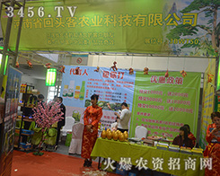 2016ɽ�|ֲ���p���������ϻ��^���r(n��ng)�I(y��)һ֦����