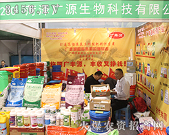 �ʝɏVԴ����2016ɽ�|����ֲ�����٬F(xi��n)��I(y��)�ۺ���