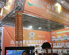 ɽ�|���������2016����ֲ���p��������һ�����