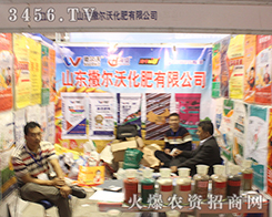 2016ɽ�|ֲ���p������ɽ�|�����ֻ���һ֦����