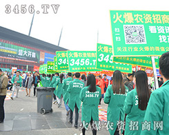 3456.TV�������˵�˲�g��