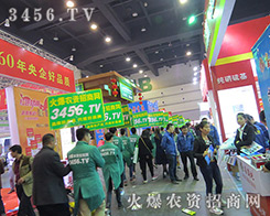 �������e�O���ϵĻ��r(n��ng)�Y���̾W(w��ng)��(zh��n)ʿ��