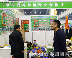 ��Ĳ�l(f��)��Nֲ��2016���ݷ��ϕ�(hu��)�������