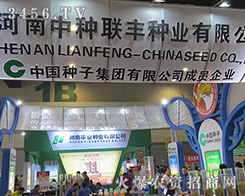 �����зN(li��n)�S�N�I(y��)ʢ�b����2016�����ļ��N�ӕ�(hu��)