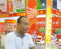 ���h���ԷN�I(y��)2016���ݷN�ӽ��ו����ȫ��