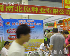 �R�}�h��ԭ�N�I(y��)��˾���ڰl(f��)�]�Լ��ď��