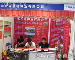 �l(f��)���N�I(y��)���x������(chu��ng)�x����2016�����ļ��N�ӕ������չ٣�