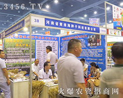 �S�����N�Ӕy����a(ch��n)Ʒ��������2016�����ļ��N�ӕ�