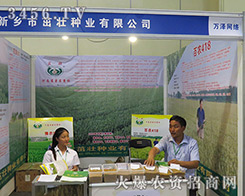 ���l(xi��ng)���ѷN�I(y��)���޹�˾������2016���ϷN�ӕ�