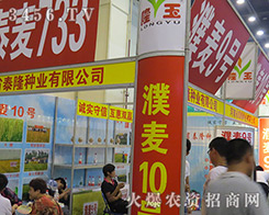 ̩¡�N�I(y��)��2016�����ļ��N�ӕ�(hu��)�ϻ�����