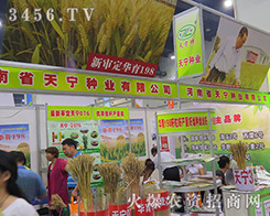 �쌎�N�I(y��)�ذ�����2016���ϷN�ӽ��ו�(hu��)