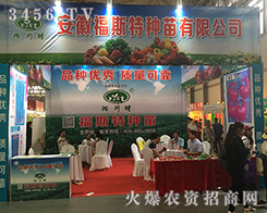 ���ո�˹����2016�������r(n��ng)�Y�������̲���