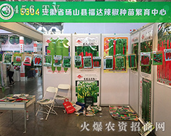 ���_(d��)�����N�緱������ʢ�b��չ2016��ʮ���������r(n��ng)�Y��(hu��)