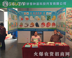 �����ѩ�N��2016�����r(n��ng)�Y���������ď�(qi��ng)��