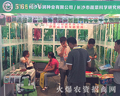 �L(zh��ng)ɳ����(r��n)�N�I(y��)2016�����r(n��ng)�Y��(hu��)ץס������ÙC(j��)��(hu��)