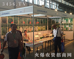 ɽ�|���S�N�I(y��)2016�����r(n��ng)�Y��(hu��)�������ď�(qi��ng)��