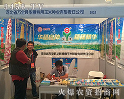 �A���������׷N�I(y��)��ף2016�����r(n��ng)����������Ļ��