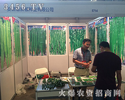 �����½��N�I(y��)��2016�����r(n��ng)�Y���[�������̲���