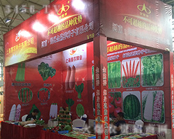 ���ݽ�¡��N����2016�������r(n��ng)�Y����ȽȽ����