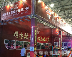 2016�����r(n��ng)�Y��(hu��)��Ӣ��ʩ�R�ǻ���ȫ�_����ȫ����