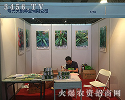 2016�����r(n��ng)�Y��(hu��)�ω۹���T�N�I(y��)����ٝ�u(y��)