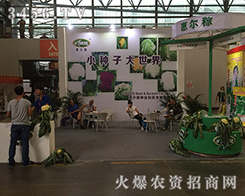 ���ݠ��ڷN�I(y��)����׷��(chu��ng)����2016�����r(n��ng)�Y��(hu��)��ȫ��