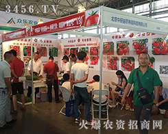 �����������r�N����2016�������r�Y�����u����