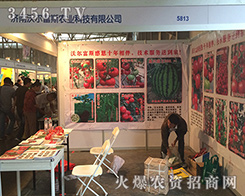 2016�����r�������֠���˹¡������