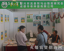 �ɶ��Aϣ�N��F(xi��n)��2016�������r(n��ng)�Y��