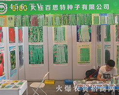 ���B��˼�طN����2016�����r(n��ng)�Y����Ů���