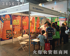 �Ĵ��Ƽ����޹�˾�l(f��)��2016�������r(n��ng)�Y��(hu��)