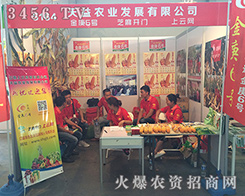 2016�����r(n��ng)�Y��(hu��)�������r(n��ng)�I(y��)�l(f��)չ���޹�˾�^��ǰ��