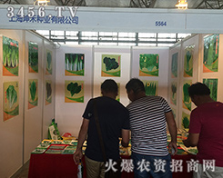 �Ϻ����̷N�I(y��)��2016�������r(n��ng)�Y��(hu��)���̻���