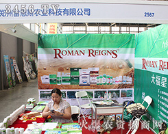 �׶�˹�r(n��ng)�I(y��)2016��ʮ���������r(n��ng)�Y����������l(f��)չ�̙C(j��)