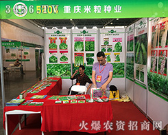 2016���������r(n��ng)�Y��(hu��)�ؑc�����N�I(y��)һƥ��(qi��ng)�����u�ĺ��R��