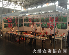 �fʢ�N�I(y��)��2016�����r(n��ng)�Y���[��һ֦��(d��)�㣡