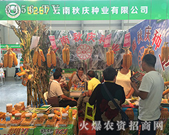 ���^��I(y��)������c�N�I(y��)���қ_��2016�����r�Y���[��