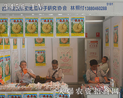 �Ĵ��p�������عϷN���о��f(xi��)��2016�����r�Y���𺳁��u