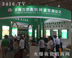 2016�����r�Y���[�������f�r�߿ƷN�I(y��)���õĿڱ��T��Ʒ����