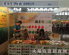 ����оGʢ�ݘI(y��)�F(xi��n)��2016�������r�Y��