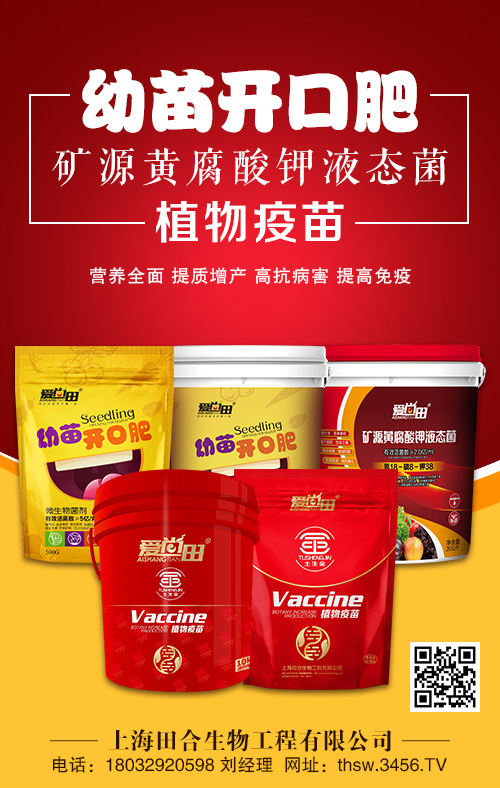 �����_�ڷ�