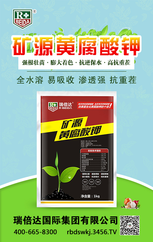 �VԴ�S�����